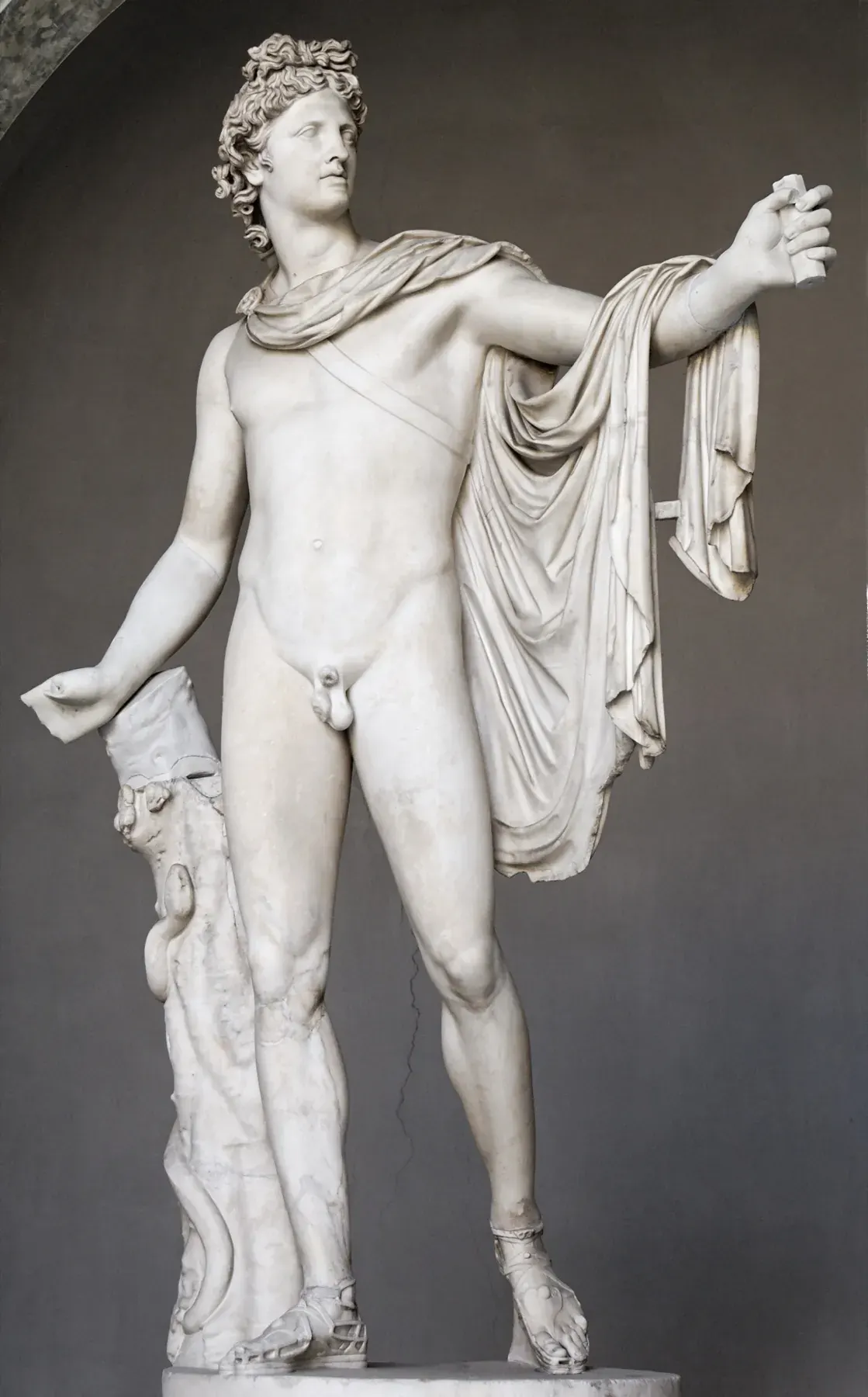 Marble Apollo Belvedere