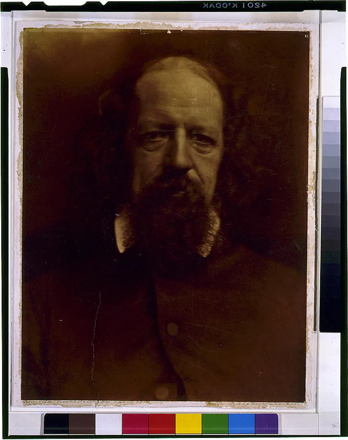 Julia Margaret Cameron portrait of Alfred Lord Tennyson